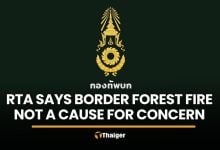Army monitors Cambodian-side forest fire, says security unaffected | Thaiger
