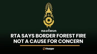 Army monitors Cambodian-side forest fire, says security unaffected | Thaiger