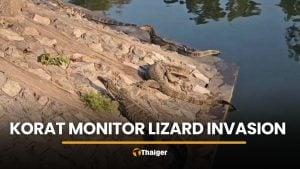 Monitor lizard invasion in Korat sees 200 to 300 reptiles gather | Thaiger