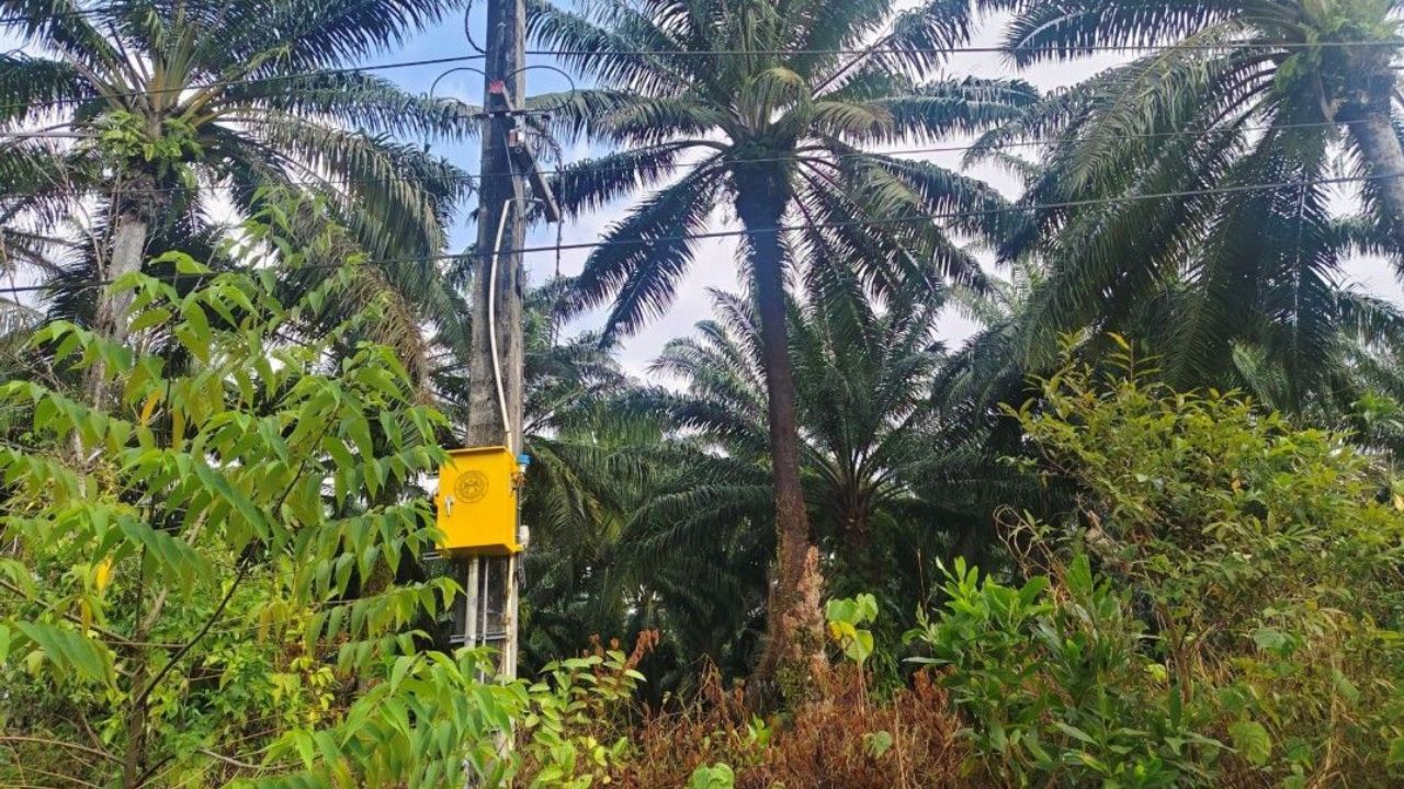 Phang Nga transformers theft