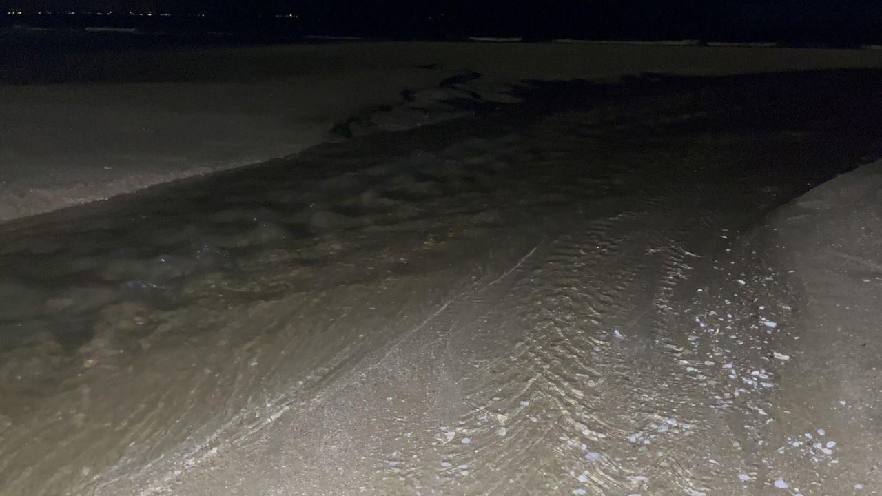 Jomtien Beach drainage pipe seen releasing wastewater into sea