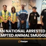 Indian national arrested at Suvarnabhumi for smuggling 15 animals | Thaiger