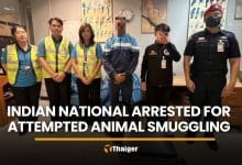 Indian national arrested at Suvarnabhumi for smuggling 15 animals | Thaiger