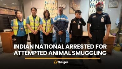 Indian national arrested at Suvarnabhumi for smuggling 15 animals | Thaiger
