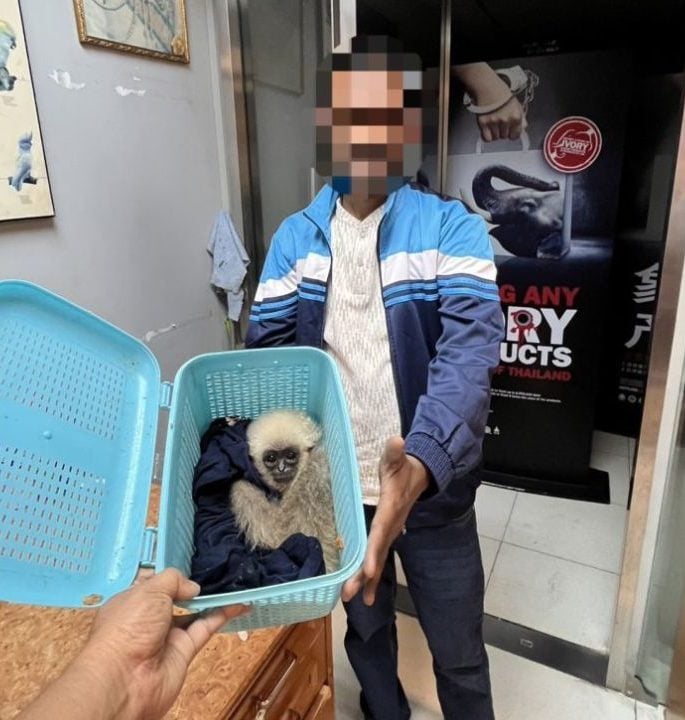 INDIAN NATIONAL ARRESTED FOR ATTEMPTED ANIMAL SMUGGLING
