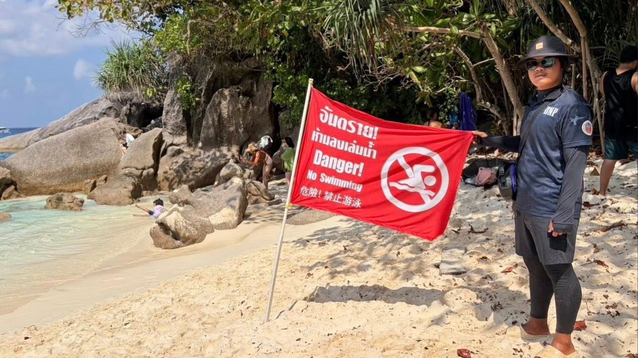 Similan Islands warns tourists after Blue Button jellyfish spotted