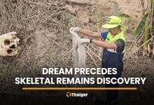 Laotian worker says dream precedes skeleton discovery in Chon Buri | Thaiger