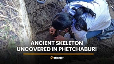 Ancient skeletons found near bronze drums site in Phetchaburi | Thaiger