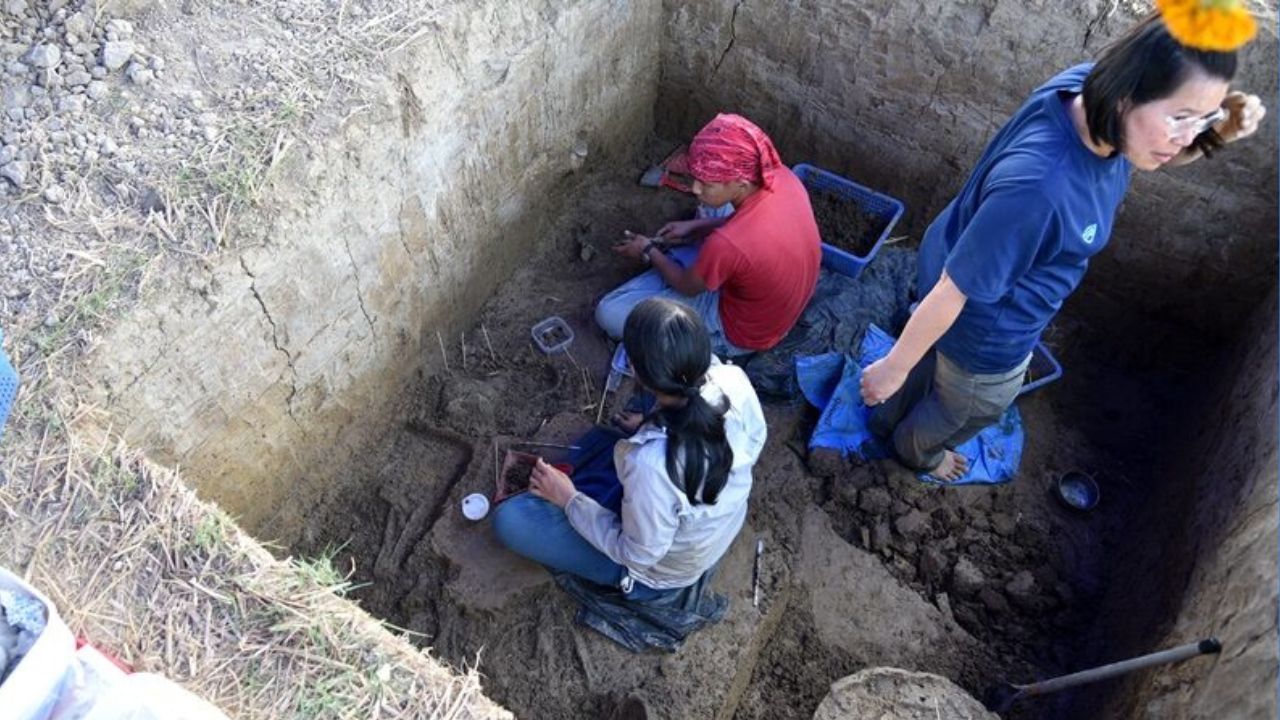 Ancient skeletons found near bronze drums site in Phetchaburi