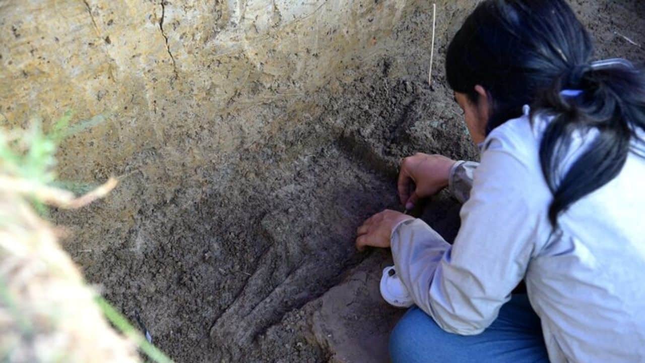 Ancient skeletons found near bronze drums site in Phetchaburi