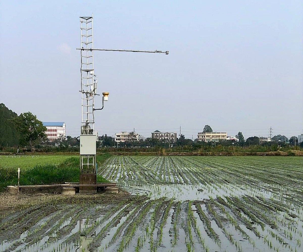 Thailand is walking into a carbon trap and nobody’s talking about it | News by Thaiger