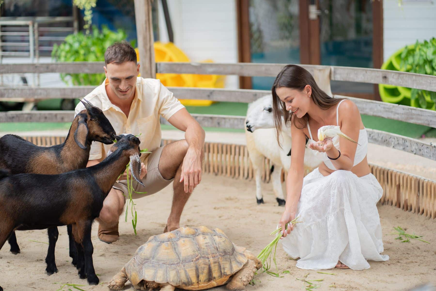 Looking for a family-friendly resort in Phuket? Here's what Karon Beach has to offer | News by Thaiger