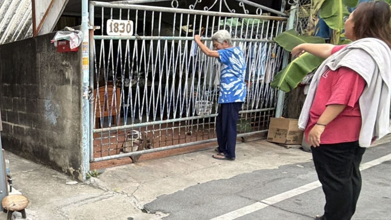 Pit bull attacks neighbour