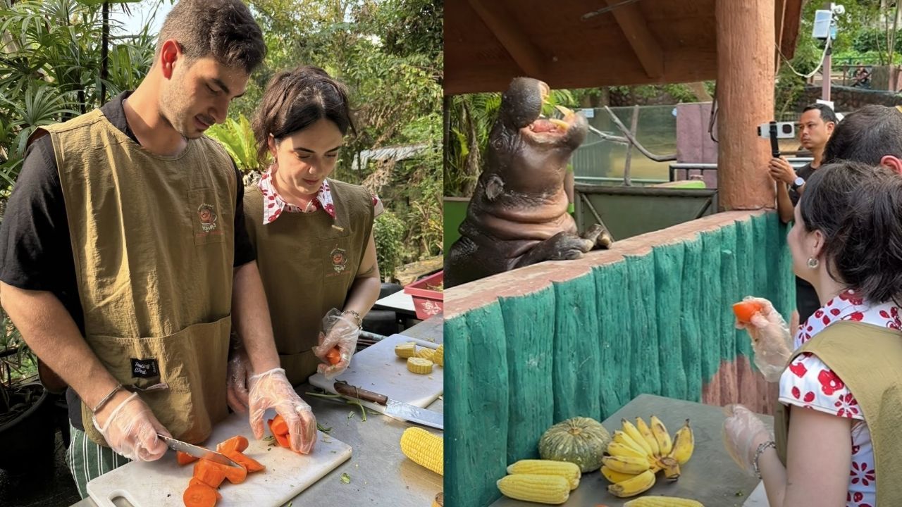 Marriage proposal with Moo Deng