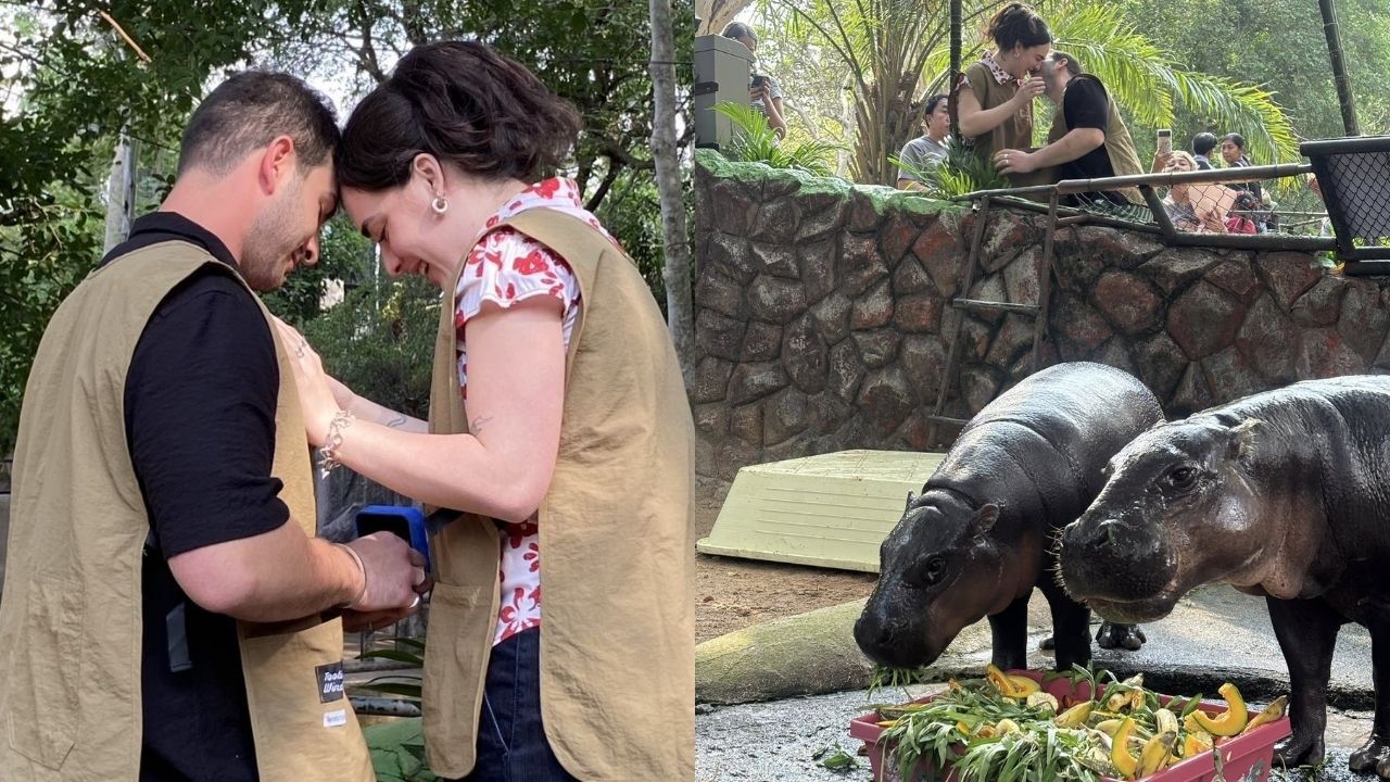 Italian couple engages in front of Moo Deng
