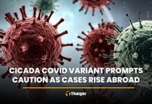 Cicada Covid variant prompts caution as cases rise abroad | Thaiger