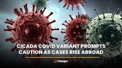 Cicada Covid variant prompts caution as cases rise abroad | Thaiger