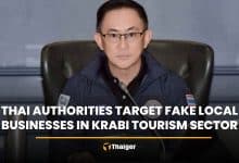 Thai authorities target fake local businesses in Krabi tourism sector | Thaiger