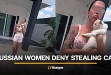 2 Russian women caught on CCTV taking pet cat from Phuket man | Thaiger