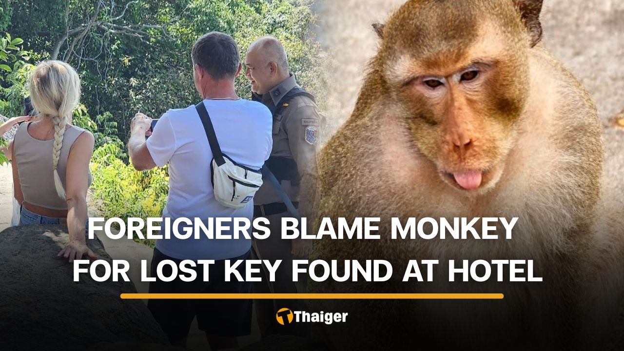 Koh Chang monkeys falsely accused of stealing foreigner’s motorcycle key | Thaiger