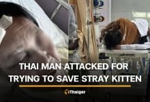 Thai man attacked and seriously injured after allegedly trying to save stray kitten | Thaiger