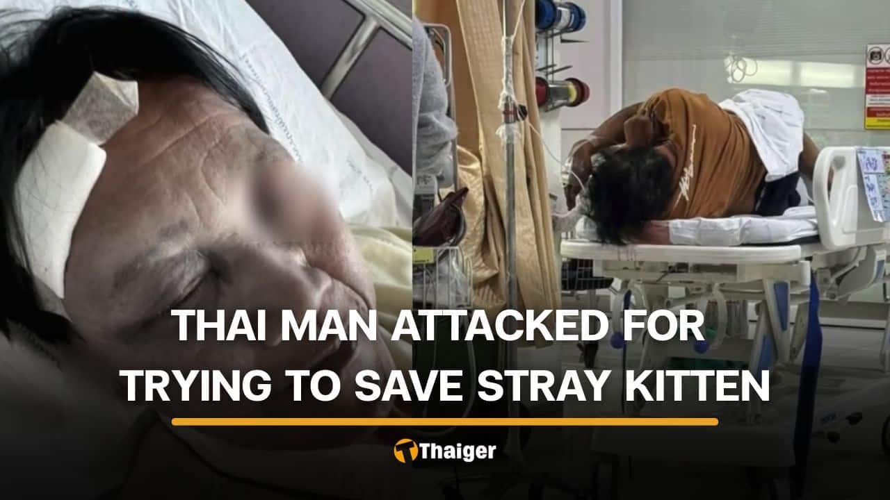Thai man attacked and seriously injured after allegedly trying to save stray kitten | Thaiger