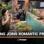 Italian man proposes to his girlfriend with Moo Deng as witness | Thaiger