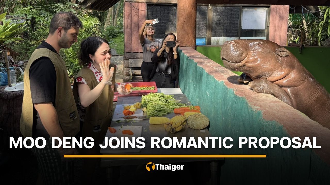 Italian man proposes to his girlfriend with Moo Deng as witness | Thaiger
