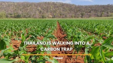 Thailand is walking into a carbon trap and nobody’s talking about it | Thaiger