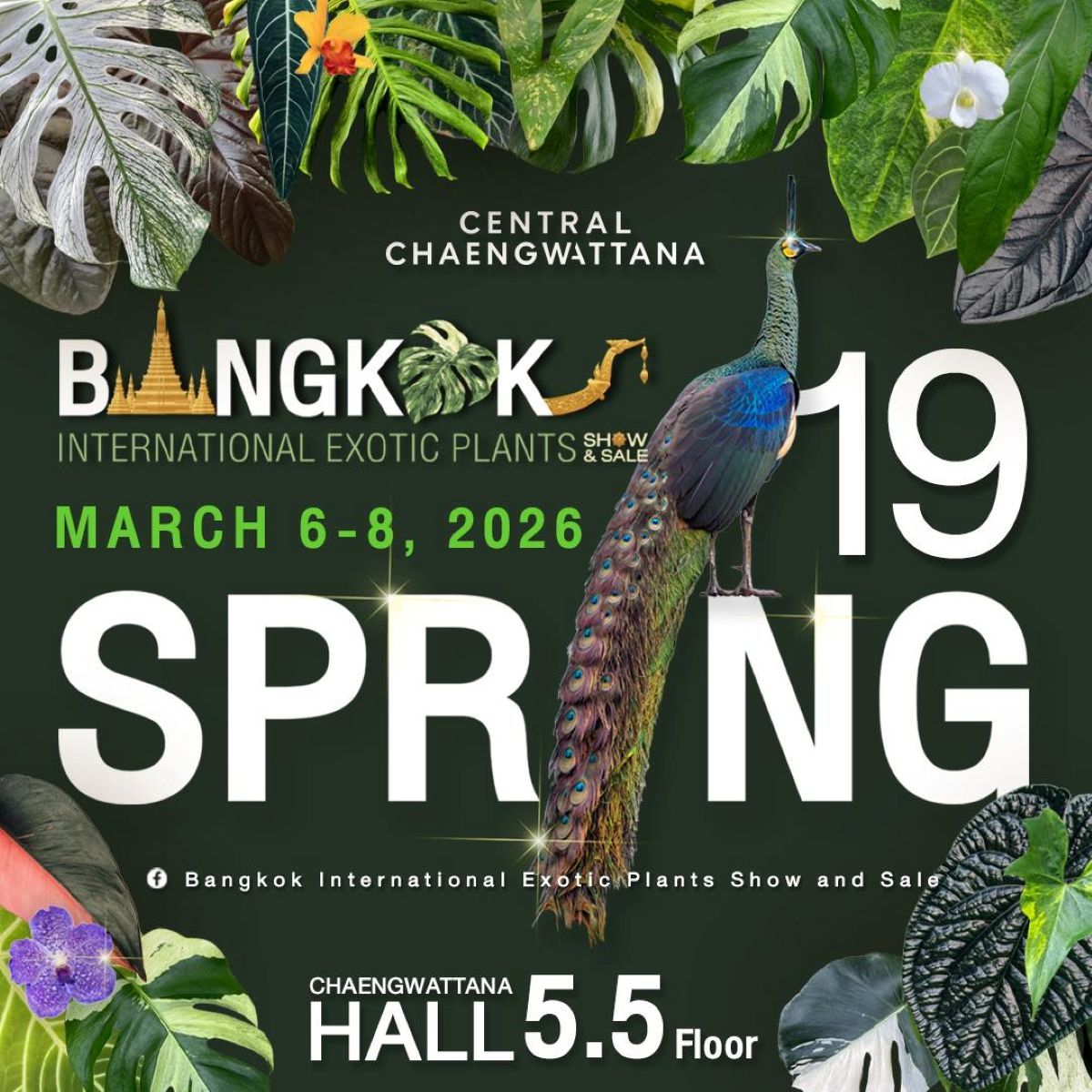 5 things to do in Bangkok this weekend (March 7 to 8) | News by Thaiger