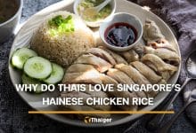 Thailand has khao man gai on every corner but why do Thais love Singapore’s Hainanese chicken rice | Thaiger