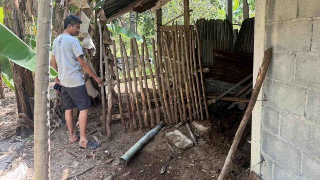 Tiger raids boar pen near Kamphaeng Phet homes, patrols sent