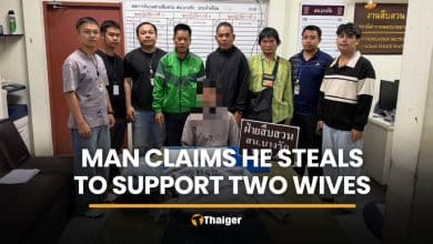 Suspect says he stole British woman’s bag to support two wives | Thaiger