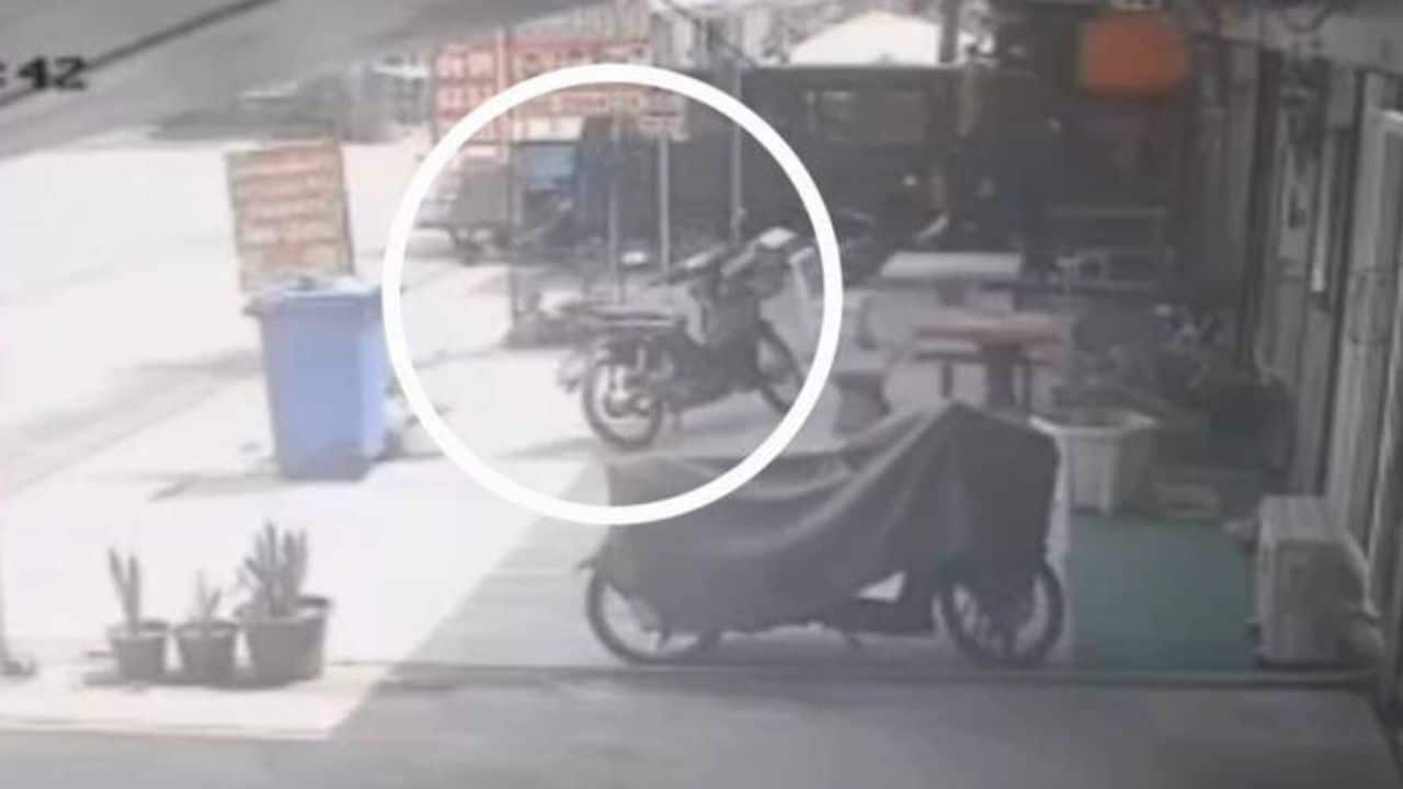 Owner blames unsecured door as pit bull bites delivery driver