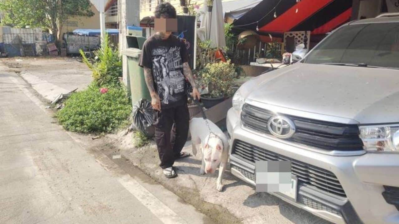 Owner blames unsecured door as pit bull bites delivery driver