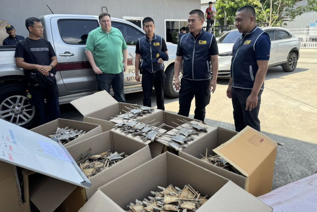 CIB finds 124,200 gecko carcasses at Pathum Thani warehouse