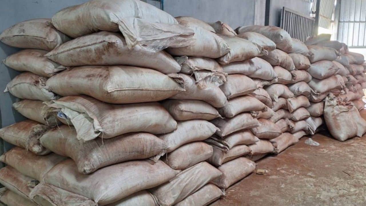 CIB finds 124,200 gecko carcasses at Pathum Thani warehouse