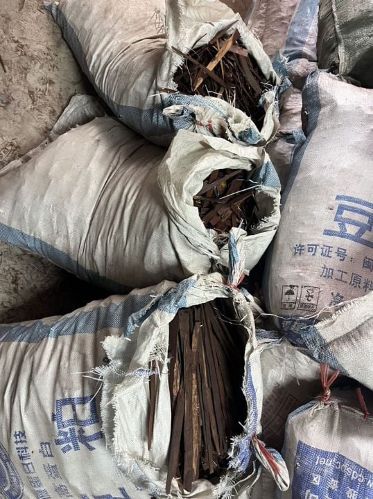 CIB finds 124,200 gecko carcasses at Pathum Thani warehouse