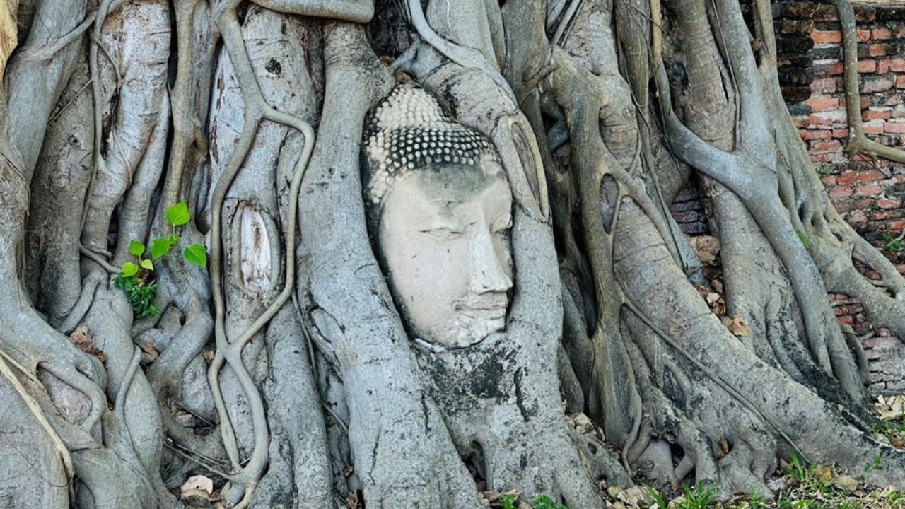 Cambodia temple photo spot compared to Wat Mahathat landmark