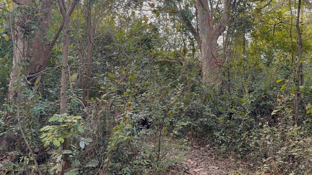 American found dead in Chon Buri after sending farewell clip to wife