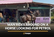 Ang Thong man rides horse through village in search of petrol | Thaiger