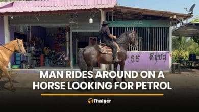 Ang Thong man rides horse through village in search of petrol | Thaiger