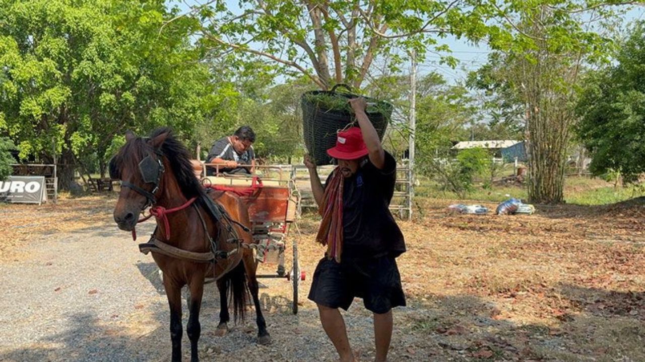 Ang Thong man rides horse through village in search of petrol