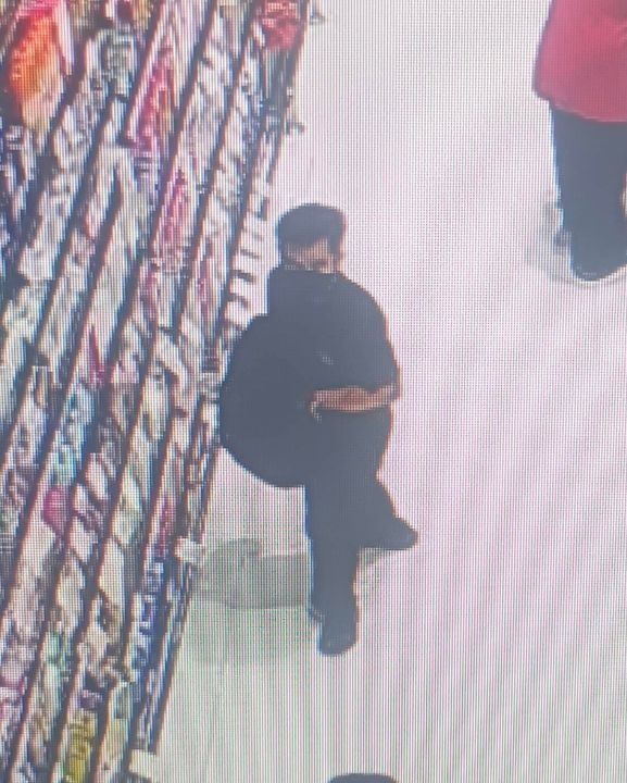 Myanmar man arrested over Vietnamese tourist backpack theft