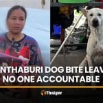Mother questions law after dog bite leaves no one accountable | Thaiger