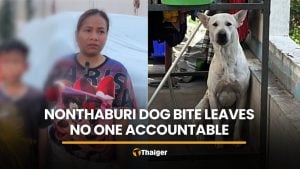 Mother questions law after dog bite leaves no one accountable | Thaiger