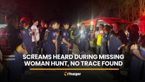 Screams heard during hunt for woman carried uphill, no trace found | Thaiger