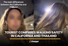 Tourist says they fear dogs, not humans, when walking on Thai streets | Thaiger