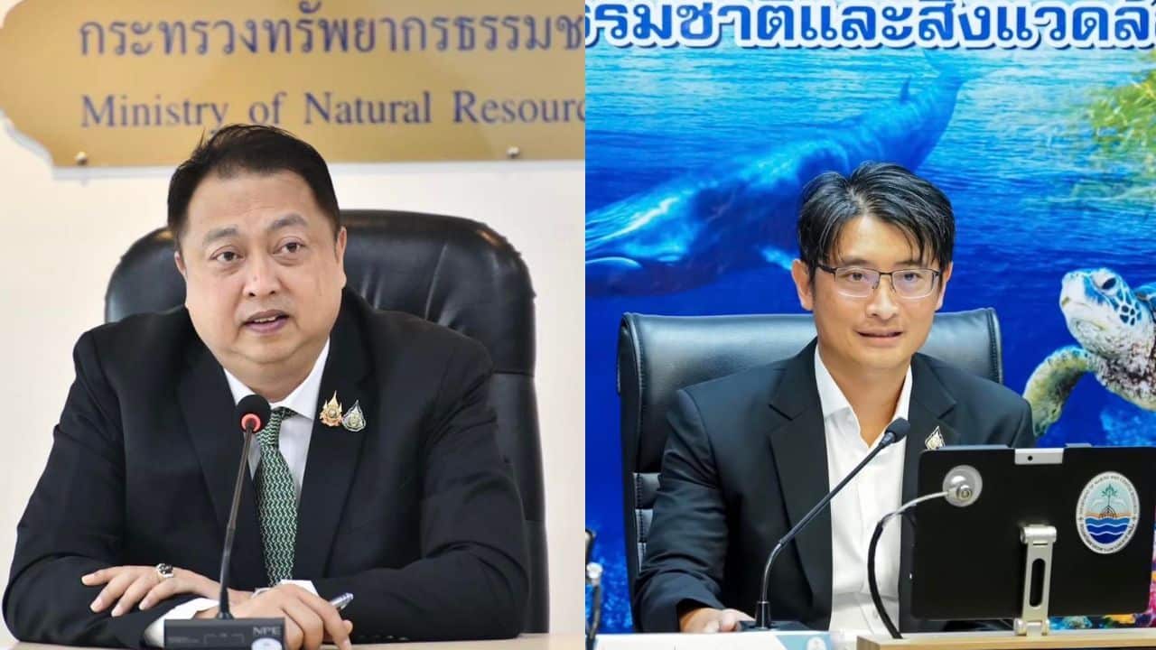 A warning was issued on March 30 after DMCR found Phuket fire jellyfish at high density near Koh Aeo in Phuket.