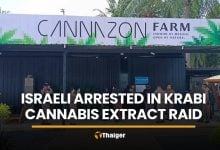 Israeli man arrested in Krabi cannabis extract factory raid | Thaiger